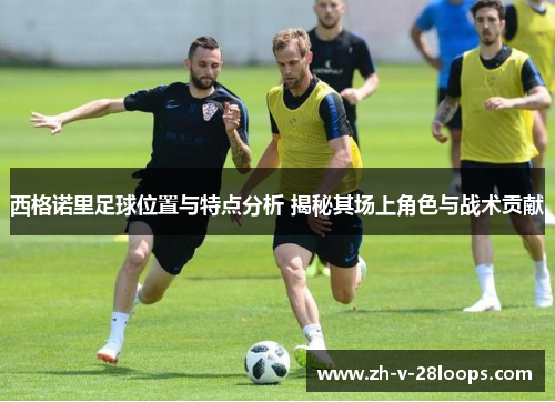 西格诺里足球位置与特点分析 揭秘其场上角色与战术贡献