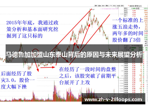马德鲁加加盟山东泰山背后的原因与未来展望分析