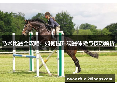 马术比赛全攻略：如何提升观赛体验与技巧解析